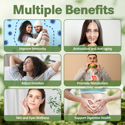 (2 FL) Pure Soursop Graviola Oil Leaf 6000mg, Soursop Fruit 500mg Liquid Drops Organic Soursop Leaves Extract Immune Support Antioxidation - Sour SOP Bitters Multivitamin Soursop Tincture Supplements